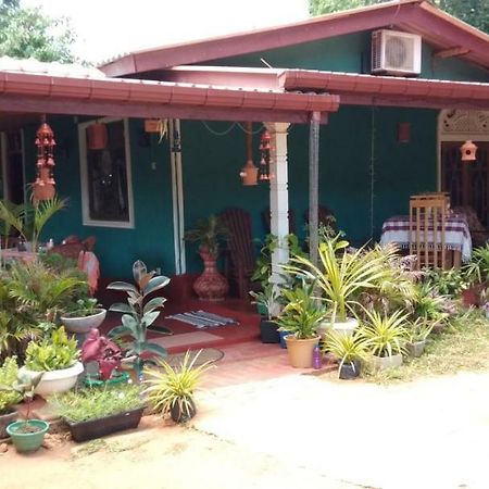 Apartament Family Nest Dambulla Zewnętrze zdjęcie