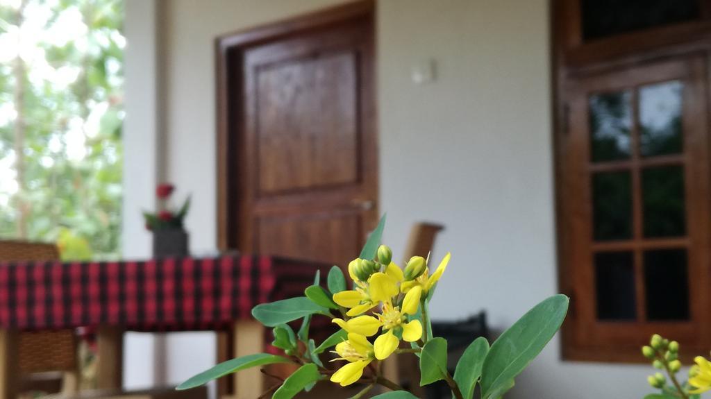 Apartament Family Nest Dambulla Zewnętrze zdjęcie