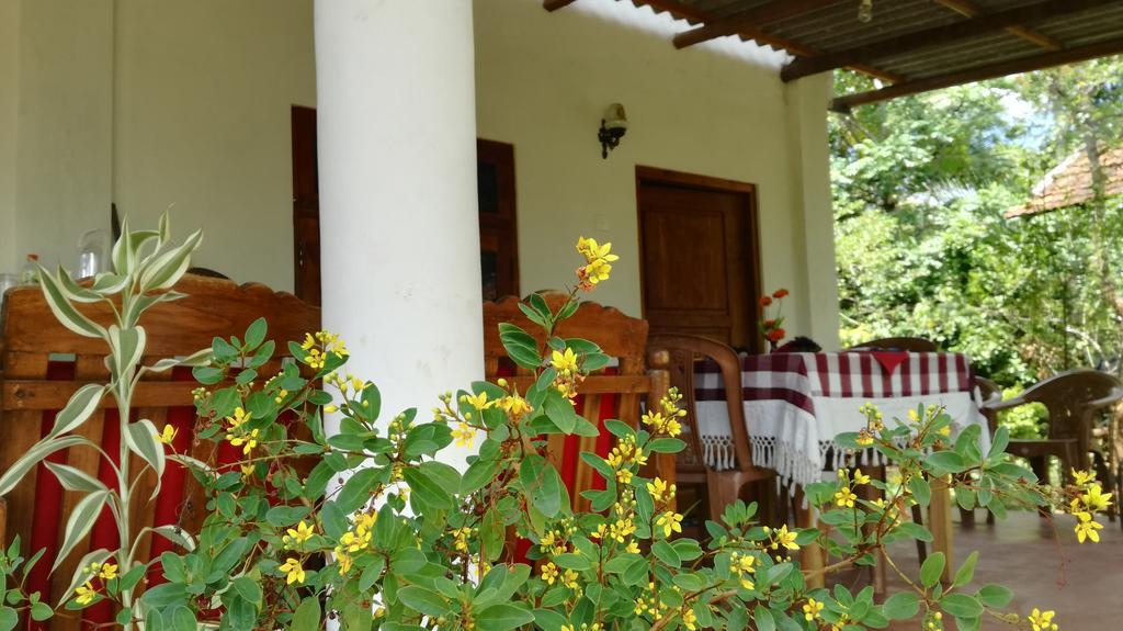 Apartament Family Nest Dambulla Zewnętrze zdjęcie