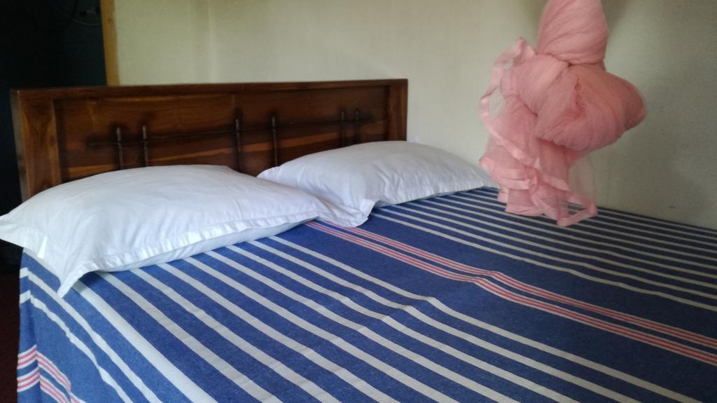 Apartament Family Nest Dambulla Zewnętrze zdjęcie